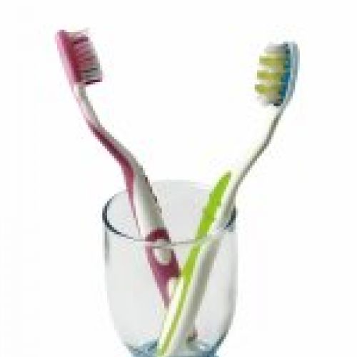 Cepillos de dientes para la higiene